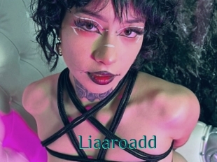 Liaaroadd