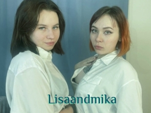 Lisaandmika