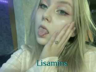 Lisamins