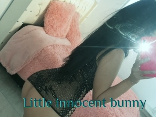 Little_innocent_bunny