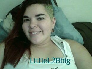 LittleL2Bbig