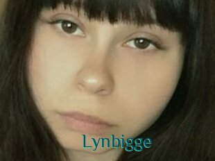 Lynbigge