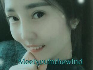 Meetyouinthewind