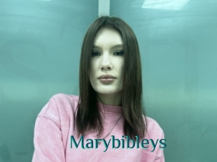 Marybibleys