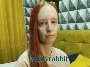 Mollyrabbit