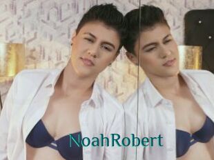 NoahRobert