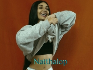 Natthalop