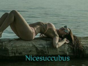 Nicesuccubus