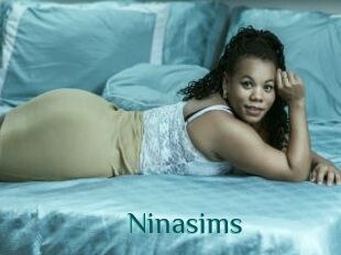 Ninasims