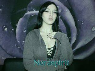 Noraspirit