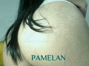 PAMELA_N