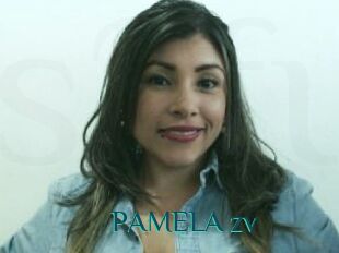 PAMELA_zv