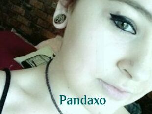 Pandaxo