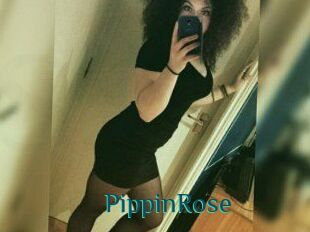 PippinRose