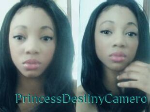 PrincessDestinyCamero