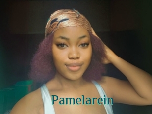 Pamelarein