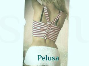 Pelusa