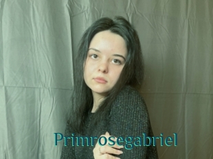 Primrosegabriel