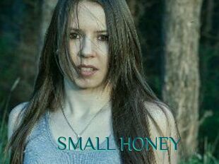 SMALL_HONEY