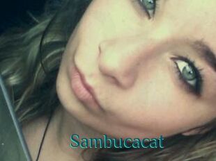 Sambucacat