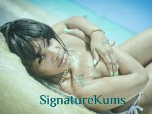 SignatureKums