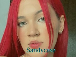 Sandycase