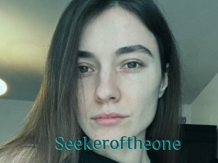 Seekeroftheone