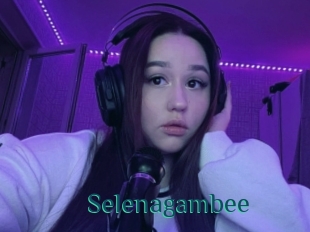 Selenagambee