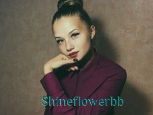 Shineflowerbb