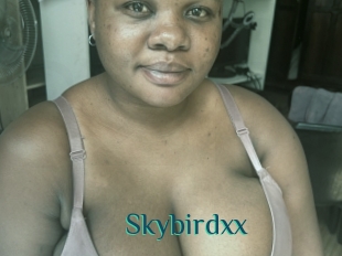 Skybirdxx