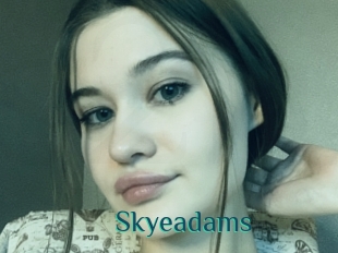 Skyeadams