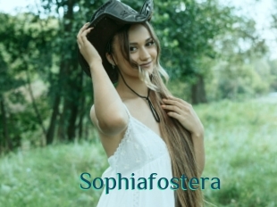 Sophiafostera