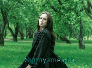 Sunnyamelybb