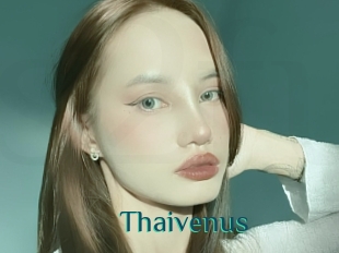 Thaivenus