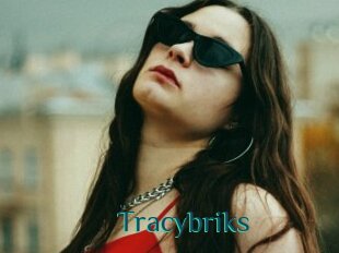 Tracybriks