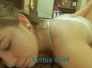 Venus_wild