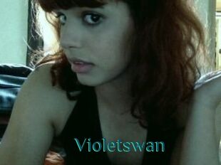 Violetswan