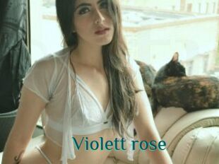 Violett_rose