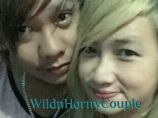 WildnHornyCouple