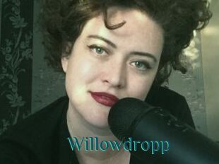 Willowdropp