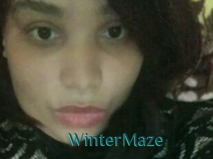 Winter_Maze