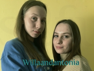 Willaandantonia