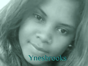 Ynesbrooks