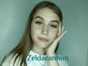 Zeldacannon